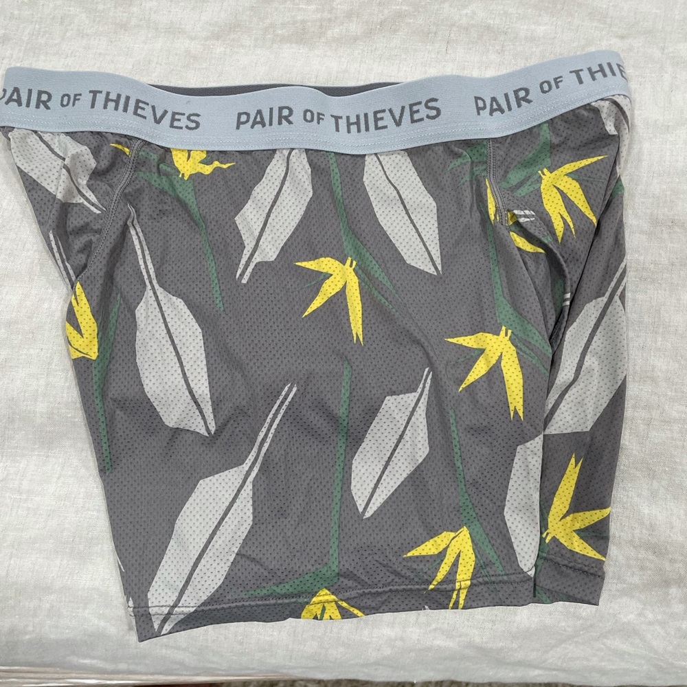 Men’s medium pair of thieves boxer briefs
